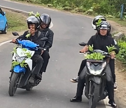 Tak Patut Ditiru, Wisatawan Dilarang Petik Daun Teh Aset PTPN Tanpa Izin