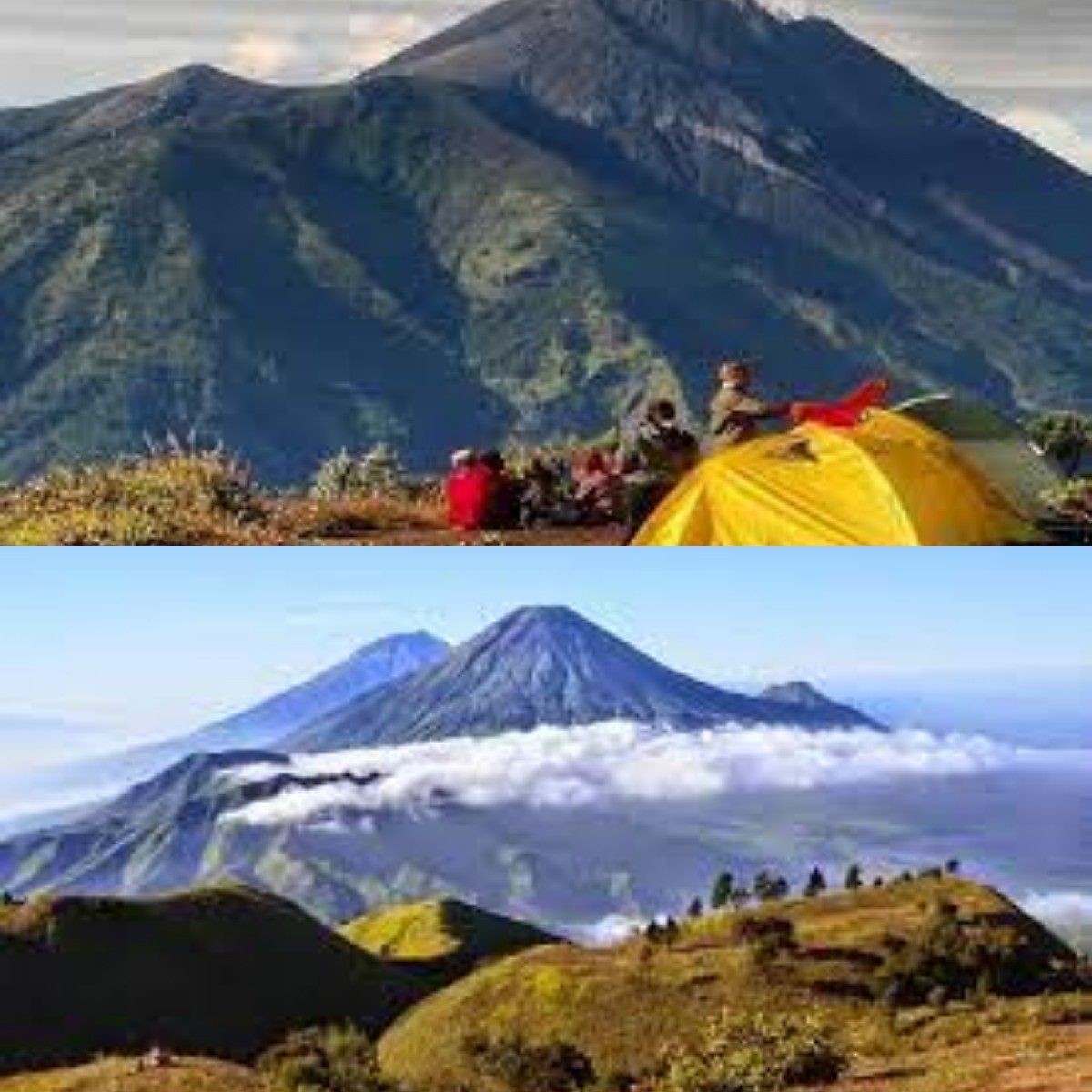 Cocok Banget Buat Kamu yang Mau Solo Hiking di Gunung Prau di Jawa Tengah! Gas Mumpung Libur Imlek 2024  