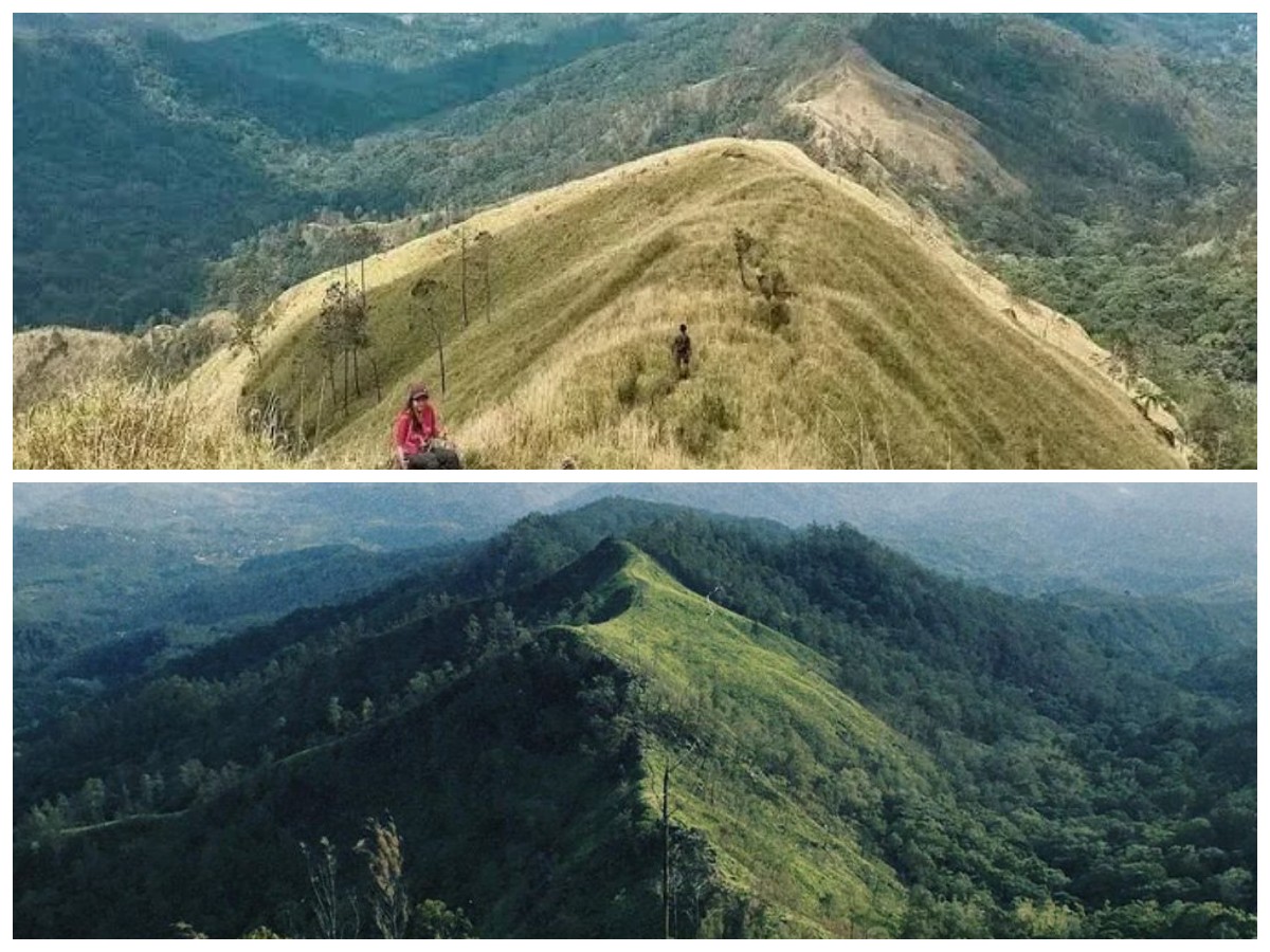 Misteri dan Luka Sejarah Gunung Wilis: Legenda, Kisah Mistis, dan Warisan Budaya