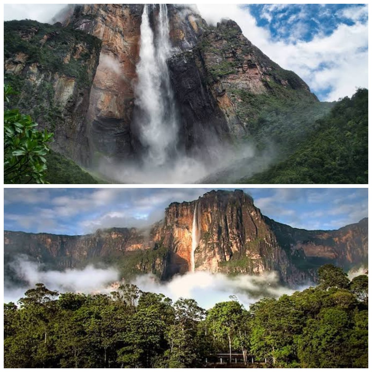 Luar Biasa! Inilah Fakta-fakta dan Daya Tarik Angel Falls, Air Terjun Tertinggi di Dunia