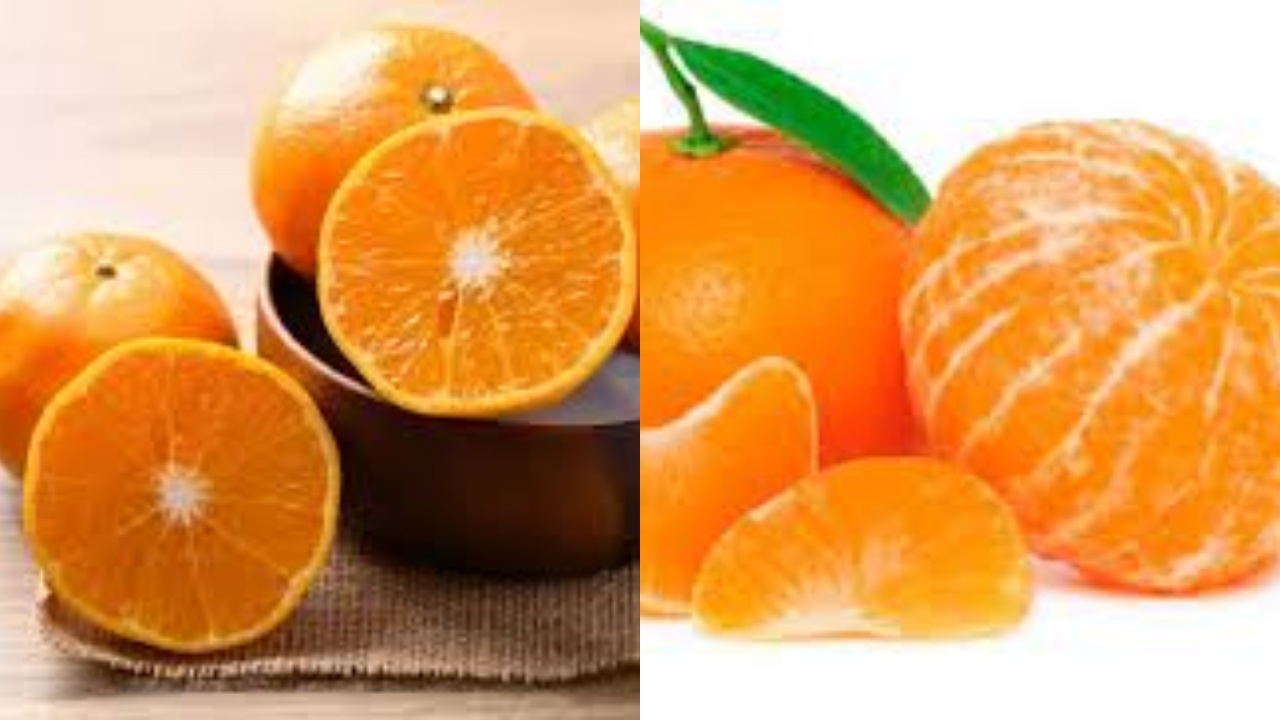 Segudang Manfaat Buah Jeruk Untuk Kesehatan Yang Harus Kalian Ketahui!