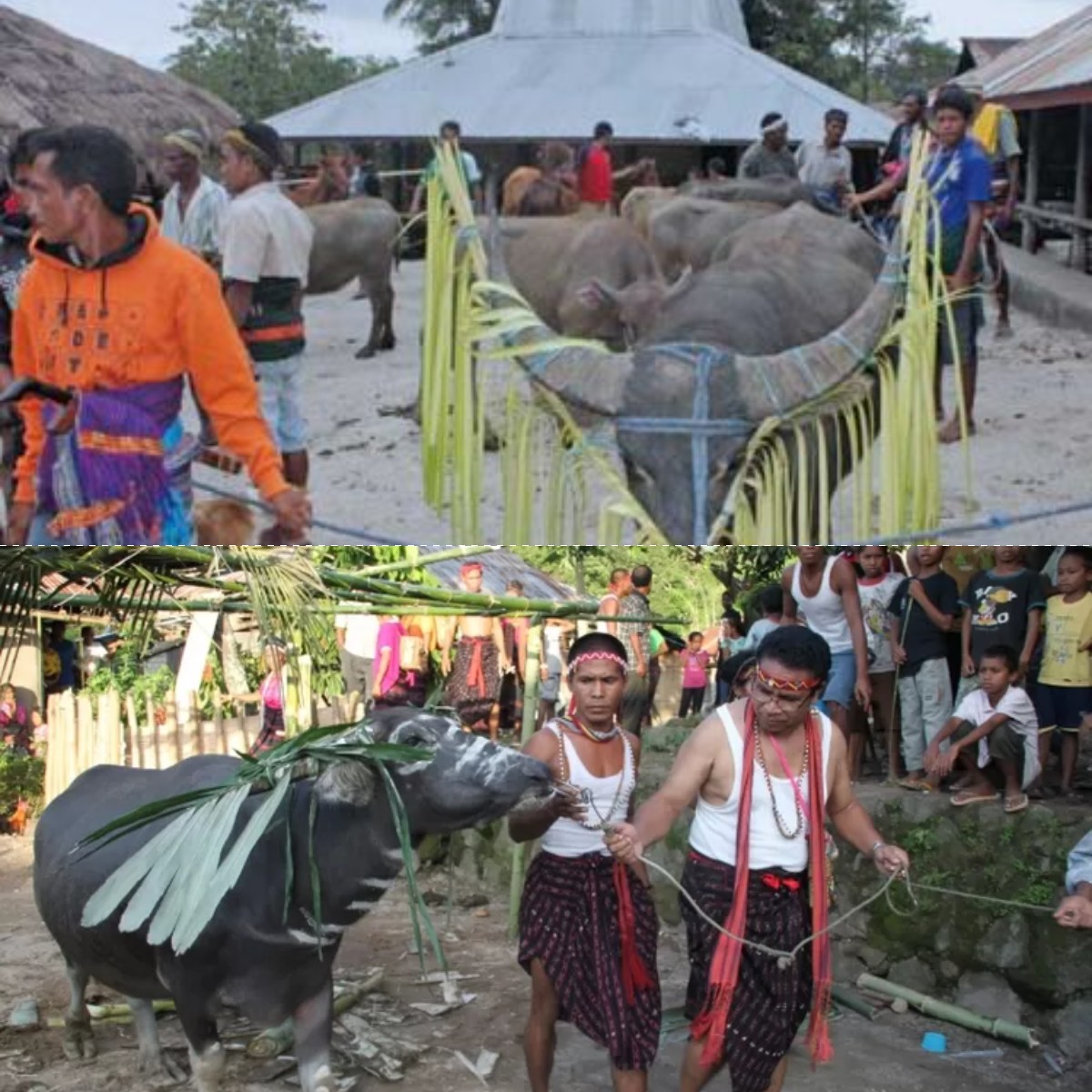 Indonesia, 5 Tradisi Suku Ini Miliki 'GELISAH' yang Unik Saat malam Pertama!