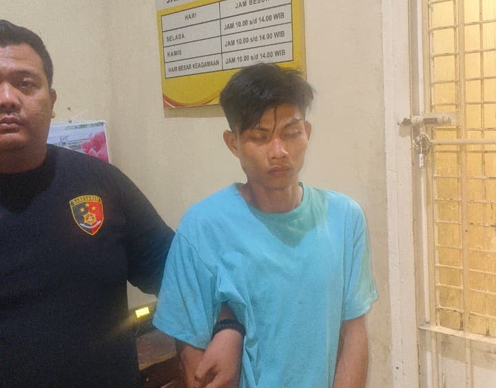 Pemilik Kebun Terluka Disabet Pisau Oleh Pencuri Kayu Manis