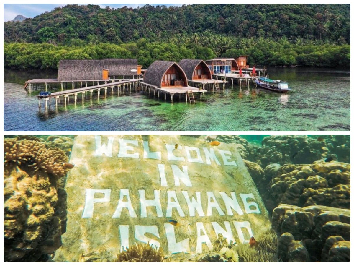 Pulau Pahawang, Permata Tersembunyi di Lampung dengan Panorama Bawah Laut yang Memukau