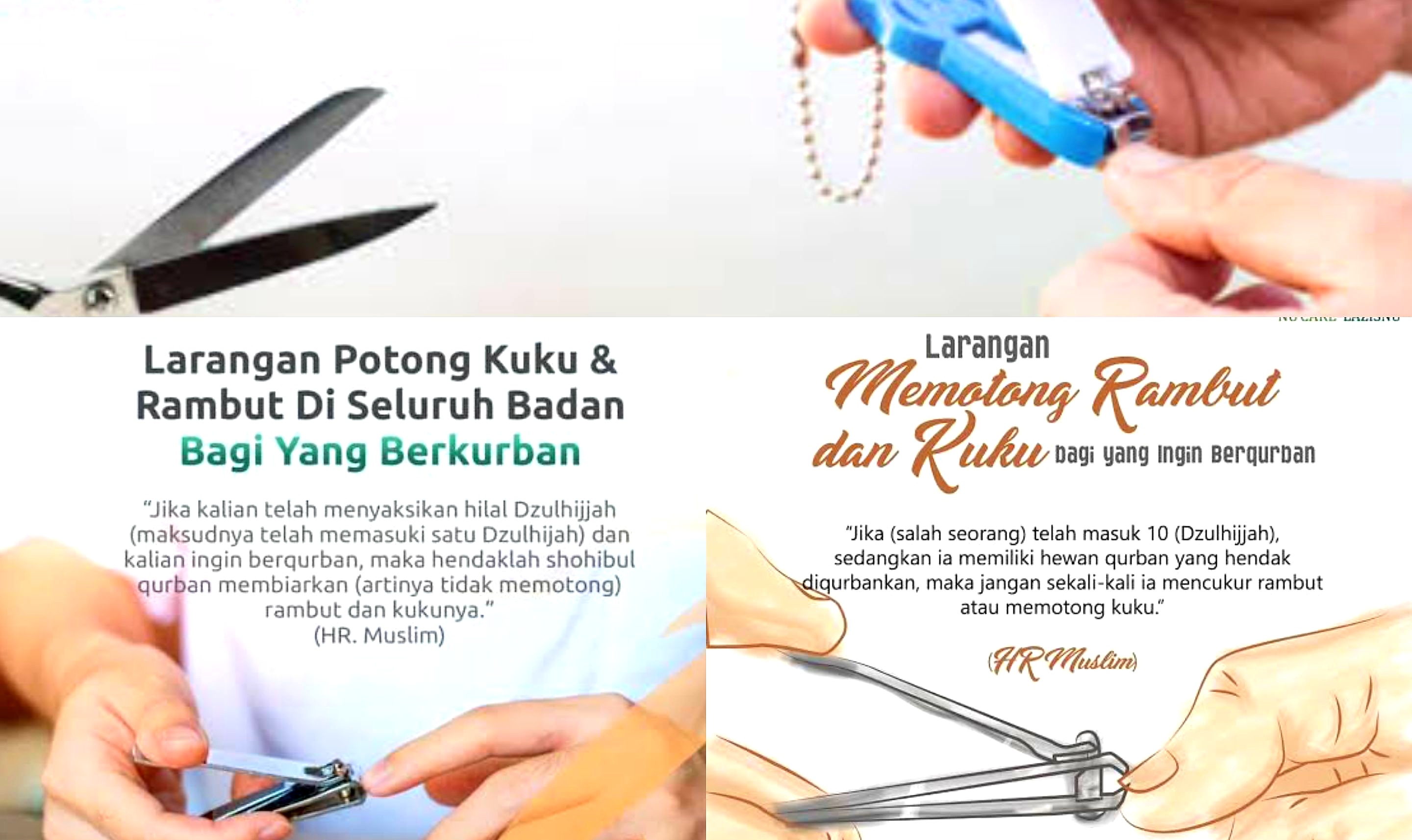 Idul Adha. Hukum Memotong Kuku atau Rambut saat Berkurban Menurut Para Ulama