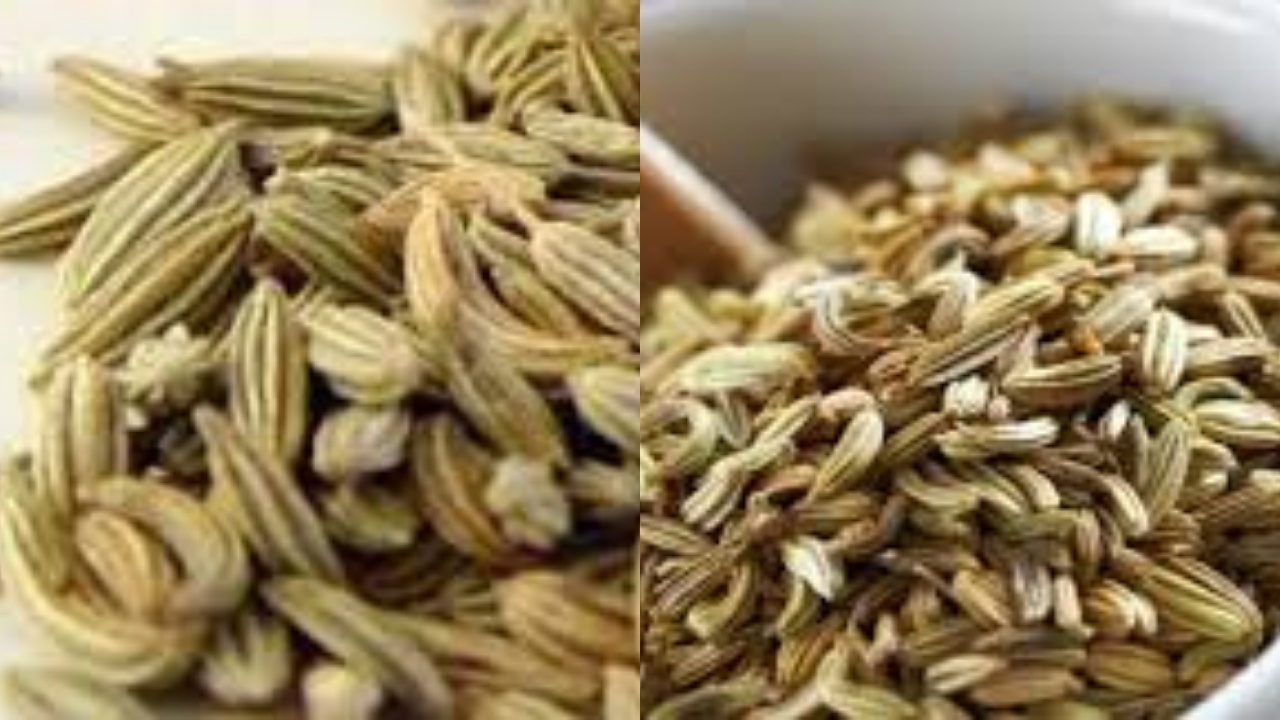 Bagus Untuk Sistem Imun, Inilah 8 Manfaat Biji Adas Yang Jarang Diketahui!