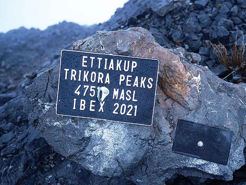 Mengungkap Sejarah dan Misteri Puncak Trikora, Gunung Sakral di Papua