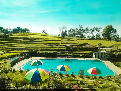 Wisata Pagubugan Melung, Sensasi Berenang di Kolam Tengah Sawah yang Memukau