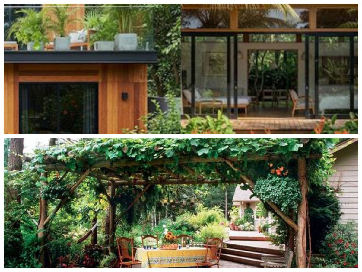 Pergola Mini ala Kafe di Rumah: Inspirasi Tanaman Rambat Berbunga yang Estetik dan Adem