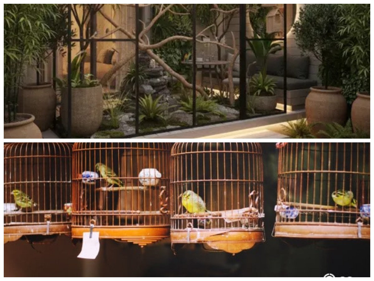Desain Kandang Burung Minimalis yang Estetik dan Nyaman untuk Dipelihara di Rumah
