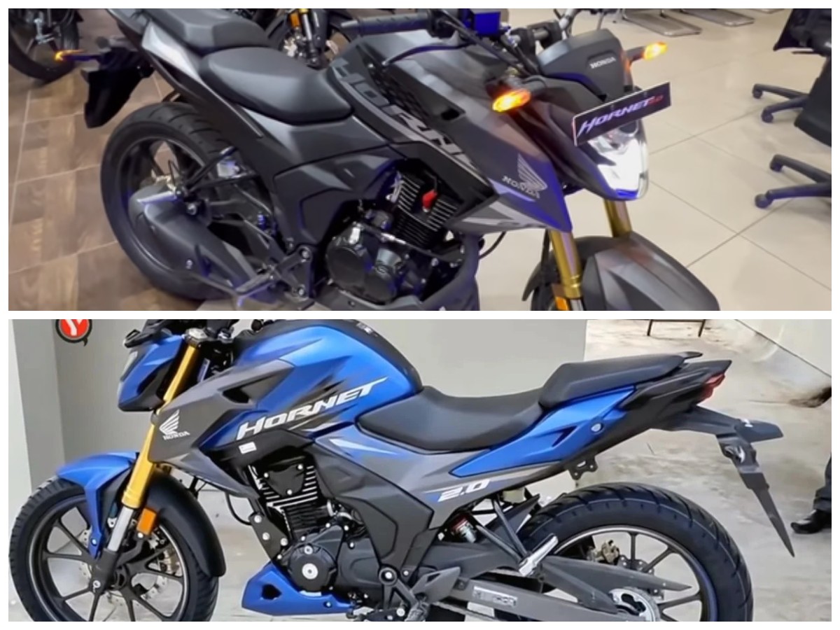 Mengintip Teknologi dan Performa Terkini dari Tiger Reborn