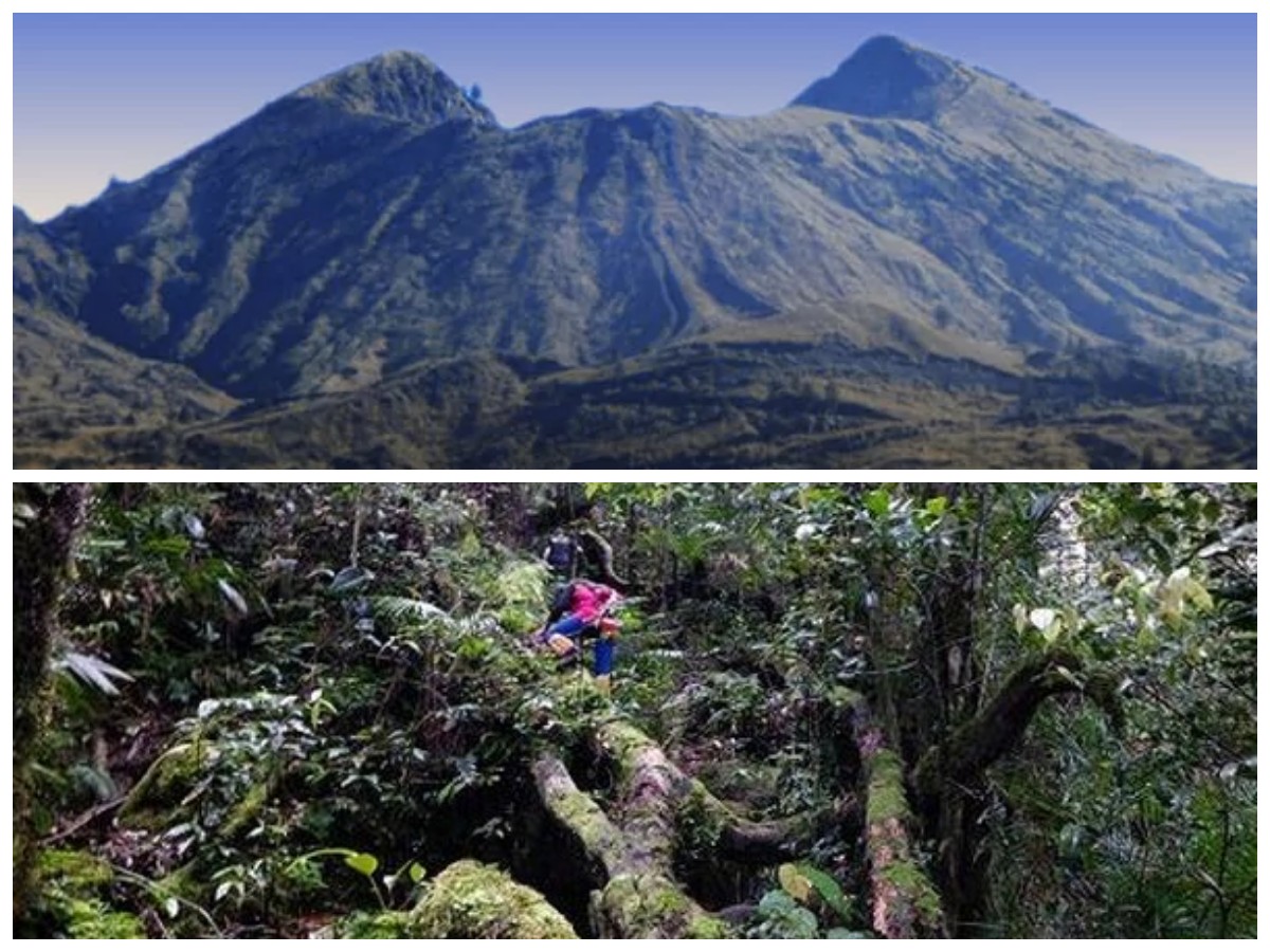 Menyingkap Misteri Gunung Bukit Raya: Sejarah, Legenda, dan Keindahan Alam Kalimantan