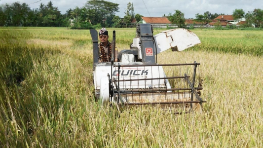 Ketersediaan Beras di DIY Dipastikan Mentan SYL Melimpah