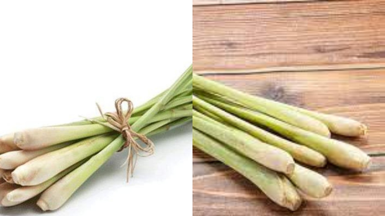 Manfaat Sereh untuk Kesehatan: Herbal Murah dengan Segudang Khasiat!