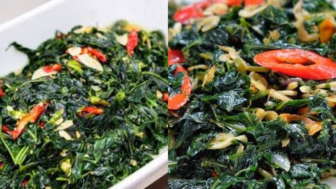 Cobain Yuk Resep Tumis Daun Singkong, Lauk Yang Enak Dan Praktis!