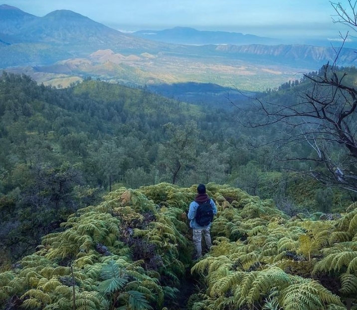 Gunung dengan Hutan Tembakau Terluas di Indonesia, Tanahnya Sangat Subur!