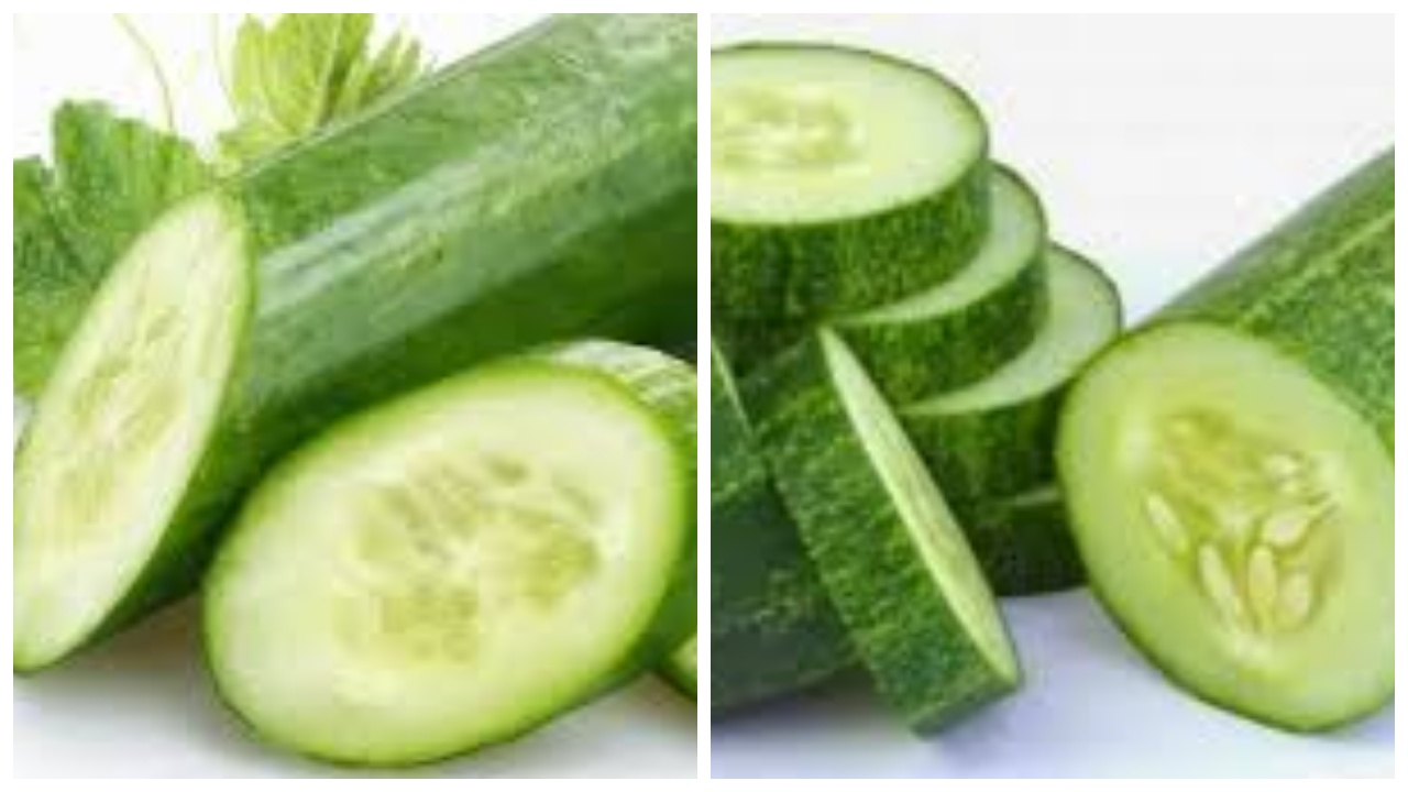 Manfaat Timun yang Baik Bagi Kesehatan dan Kecantikan