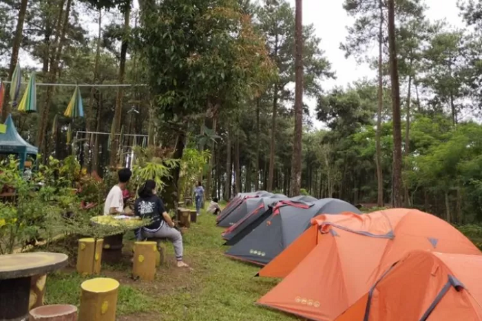 Surga Tersembunyi Magetan, Menikmati Kesejukan Alam di Bumi Perkemahan Alastuwo