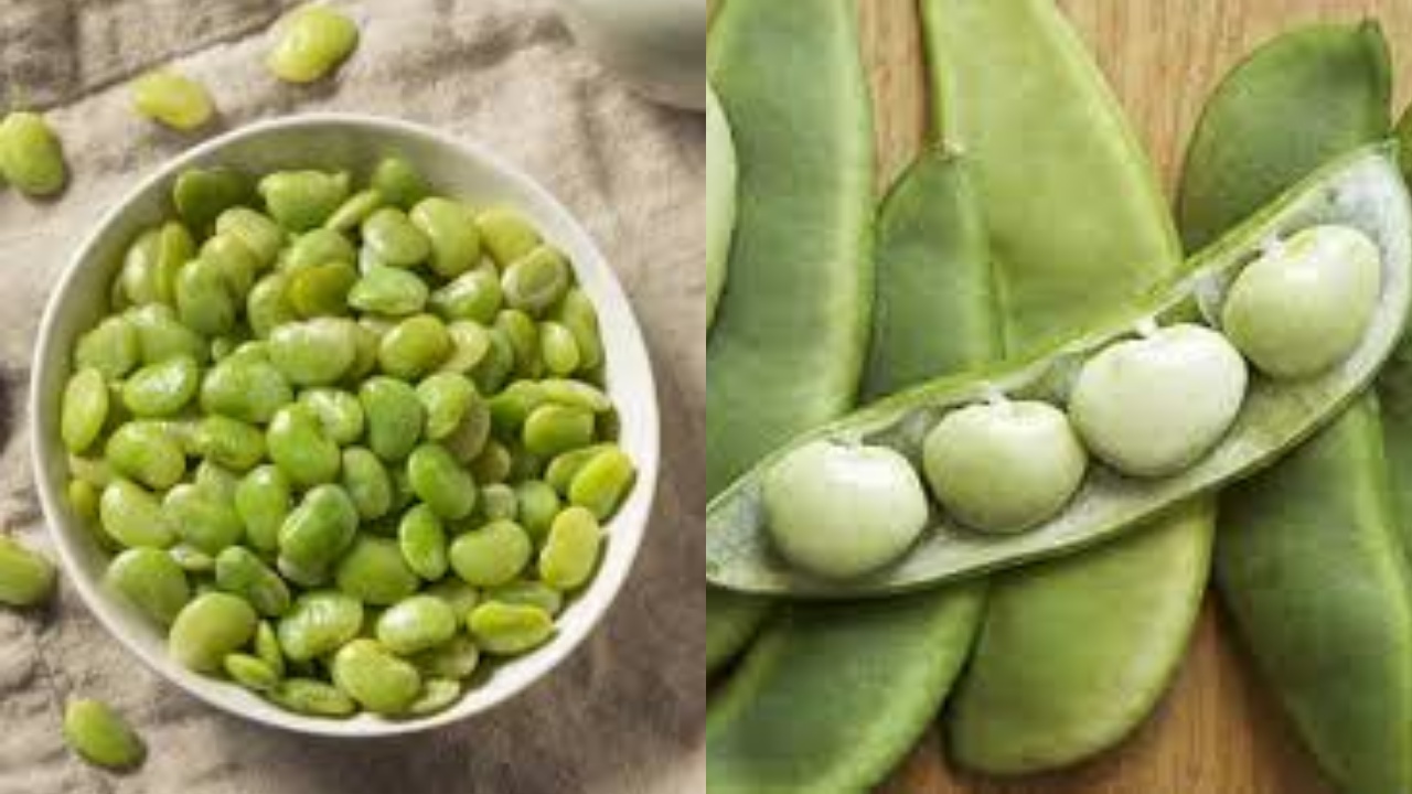 Mengandung Zat Besi Cegah Anemia Teryata Ini Guys Manfaat Dari Kacang Lima Untuk Kesehatan! 