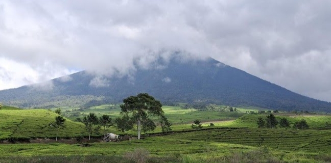 Puncak Hujan Kian Dekat, Bencana Alam Tak Bisa Diprediksi! Warga Di Himbau untuk Tetap Waspada 