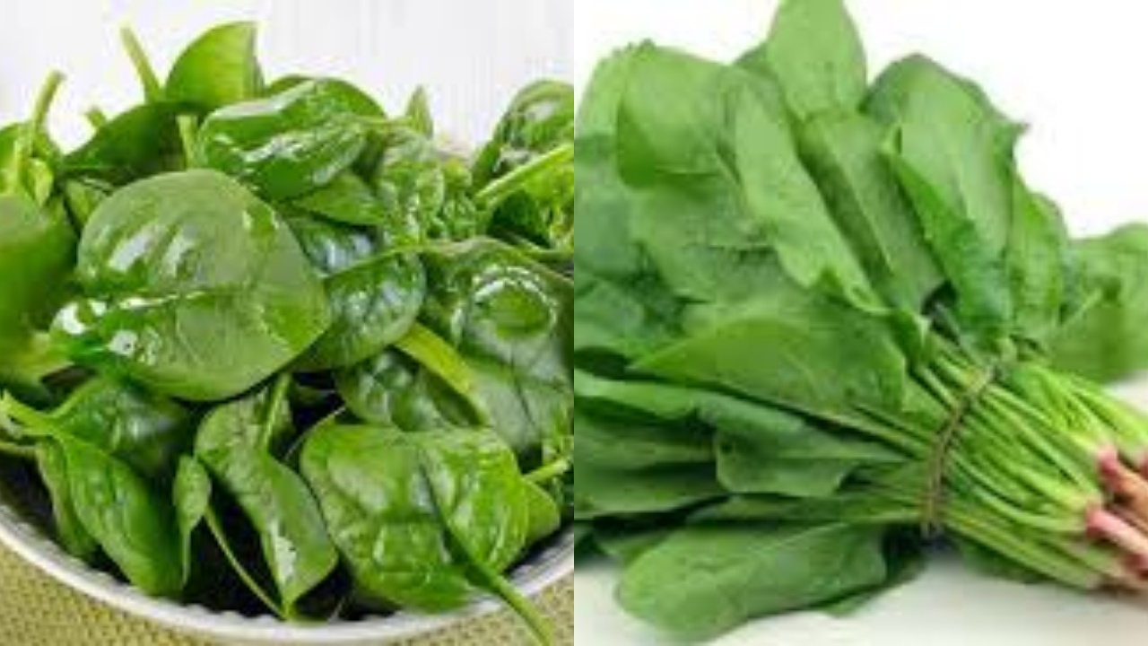 Yuk Jangan Sepelekan, Ini Manfaat Bayam Untuk Ibu Hamil Yang Luar Biasa!
