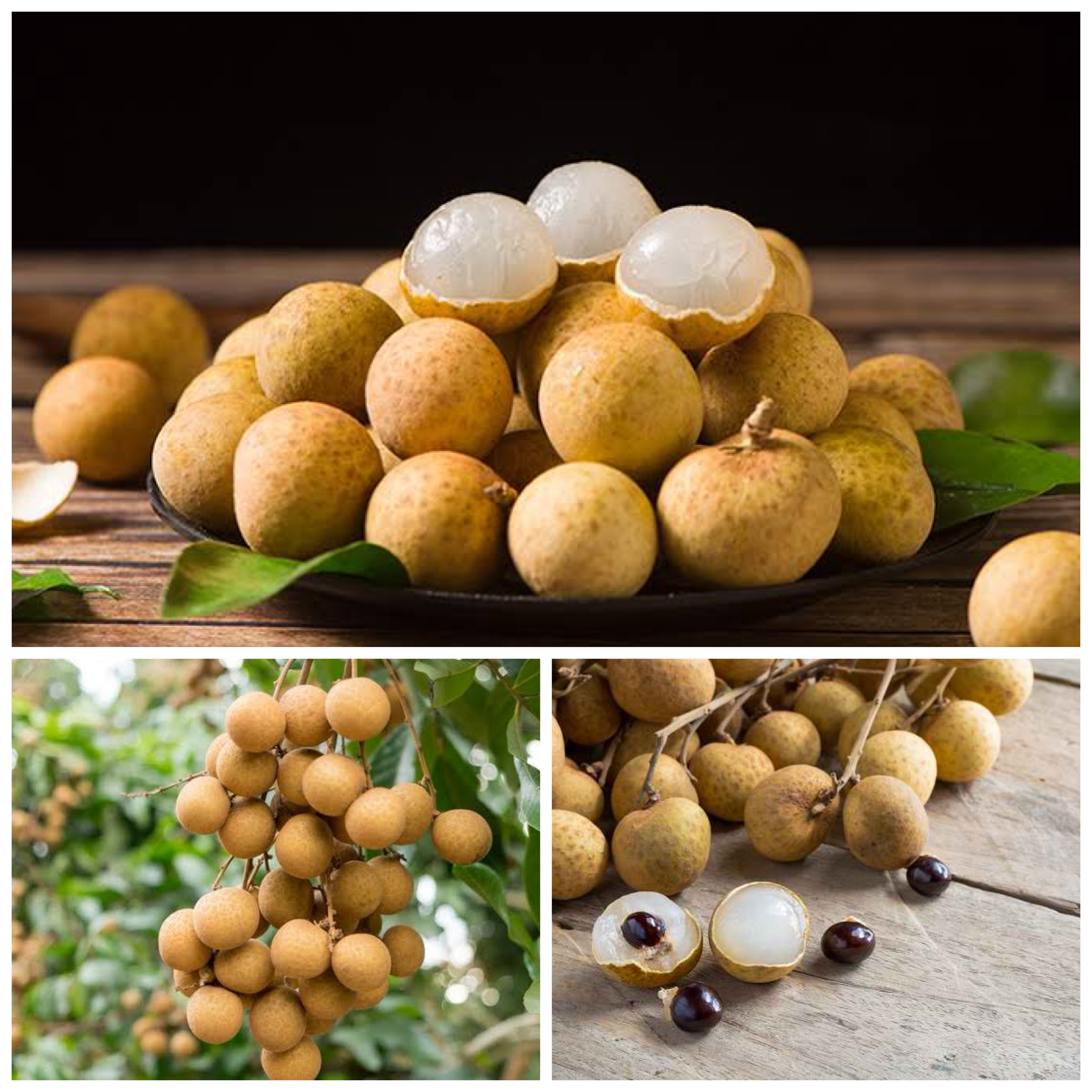 Di Balik Rasanya yang Manis, Ada Beragam Manfaat Buah kelengkeng yang sayang untuk dilewatkan!