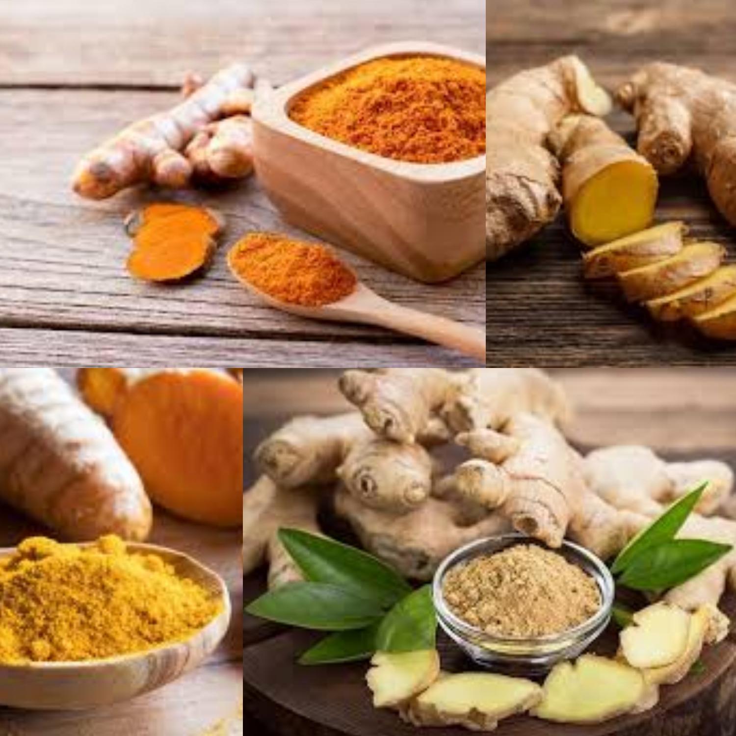 Manfaat Tanaman Herbal Temulawak untuk Kesehatan! Yuk Kita Intip Dibawah Ini!