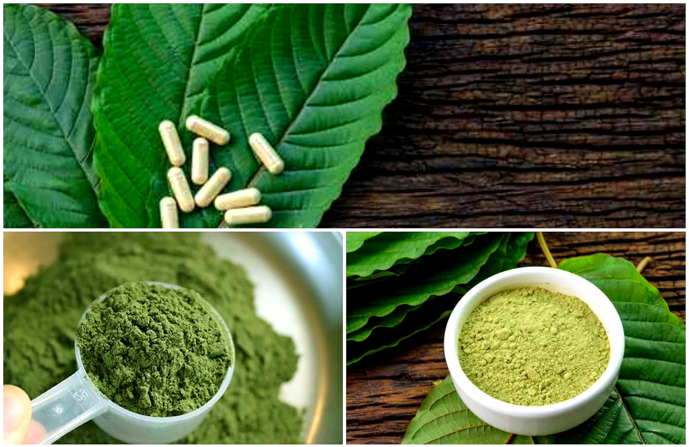 Pereda Nyeri Hingga Obat Kanker? Ini Khasiat dan Efek Samping Daun Kratom