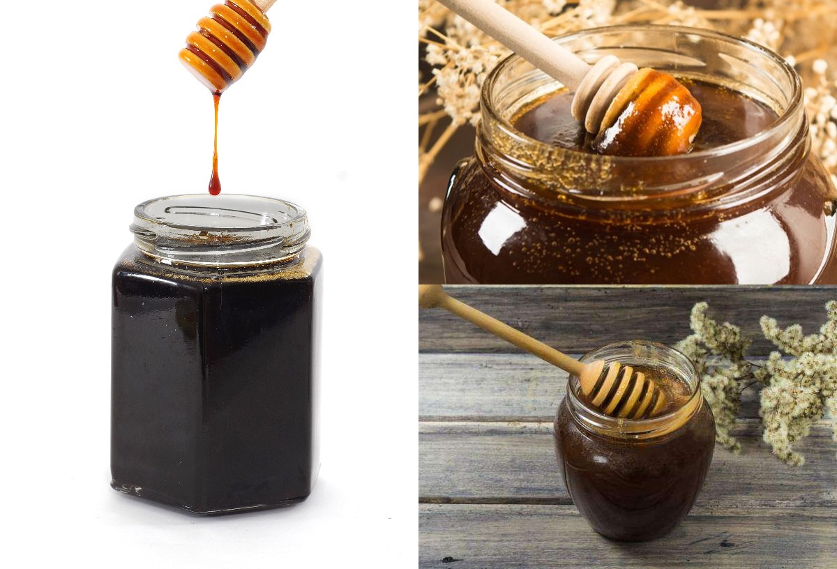 Semakin Gelap Warna Madu, Maka Semakin Baik pula Manfaatnya, Apakah Benar Madu Hitam Lebih Baik!