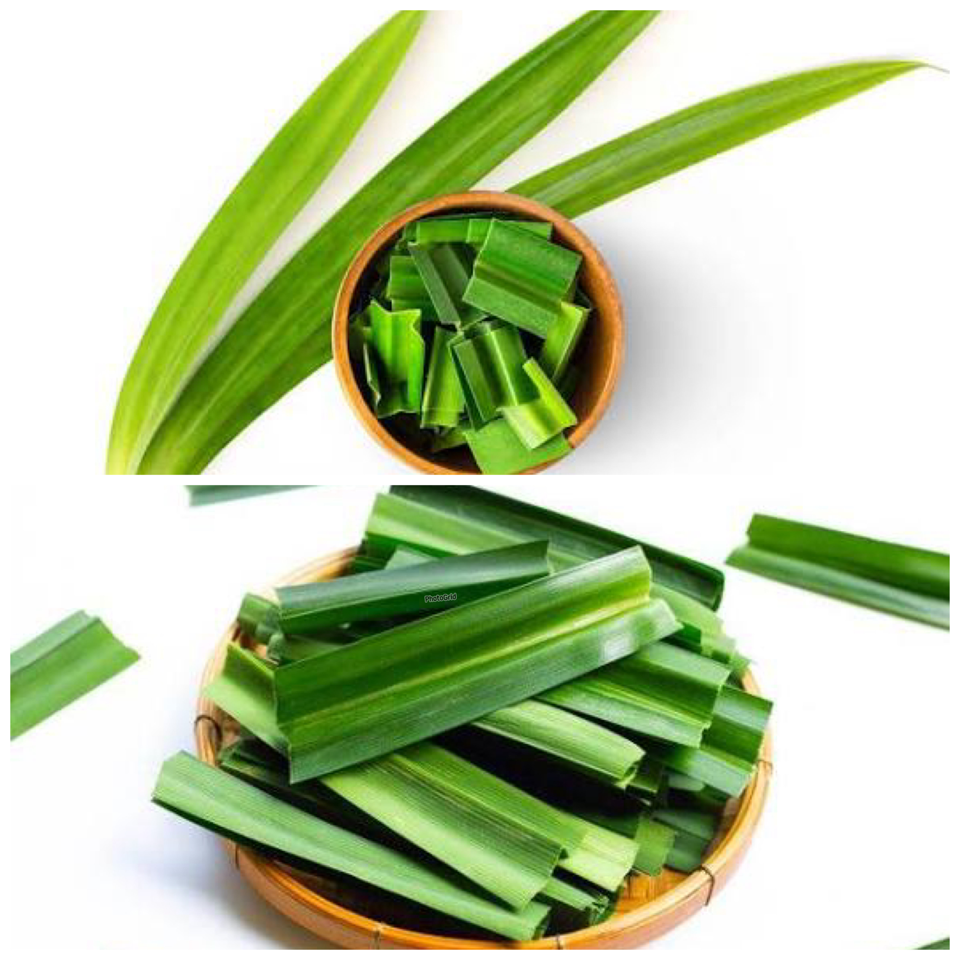 Rahasia Daun Pandan untuk Kesehatan: Wangi Alami dengan Manfaat Luar Biasa!