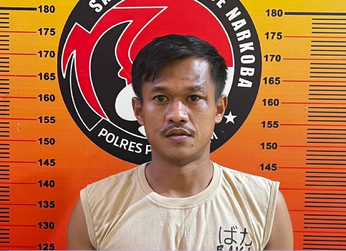 Pengedar Daun Setan di Pagar Alam Dibekuk Polisi 