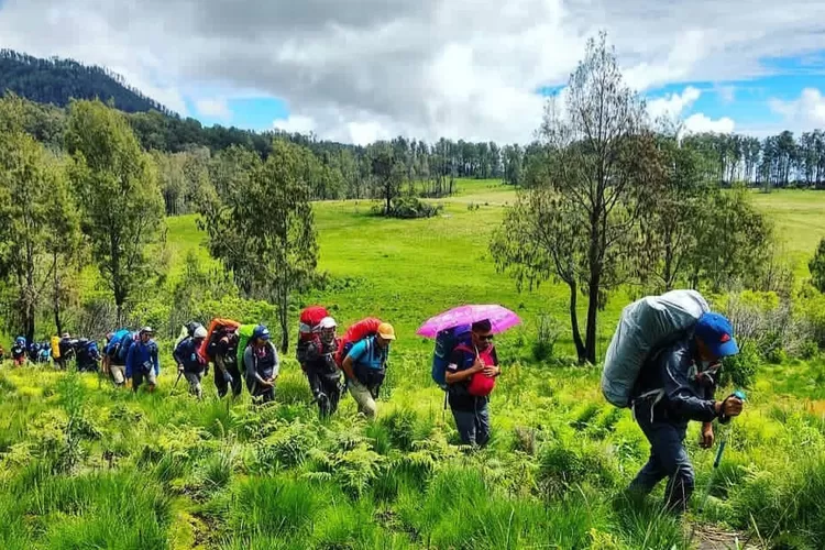 Pesona Alam Gunung Argopuro, Eksplorasi Keindahan dengan Jalur Pendakian Terpanjang