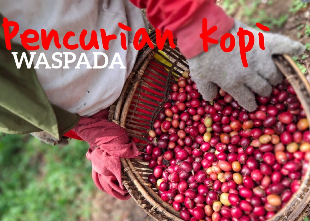 Waspada Pencurian Kopi Saat Lebaran, Kasatreskrim : Segera Lapor, Kita Respon Cepat