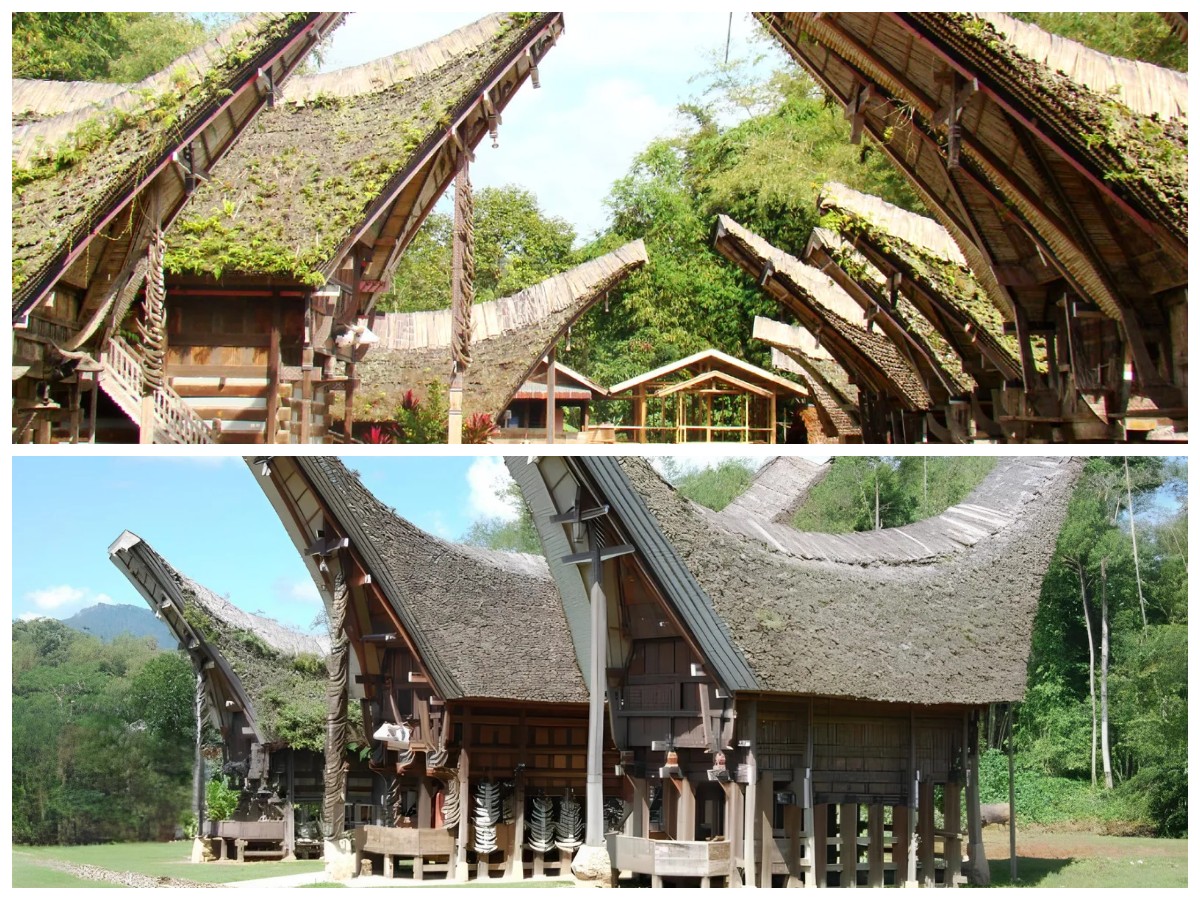 Menyingkap Makna Tongkonan: Rumah Adat Toraja sebagai Lambang Kehidupan dan Budaya