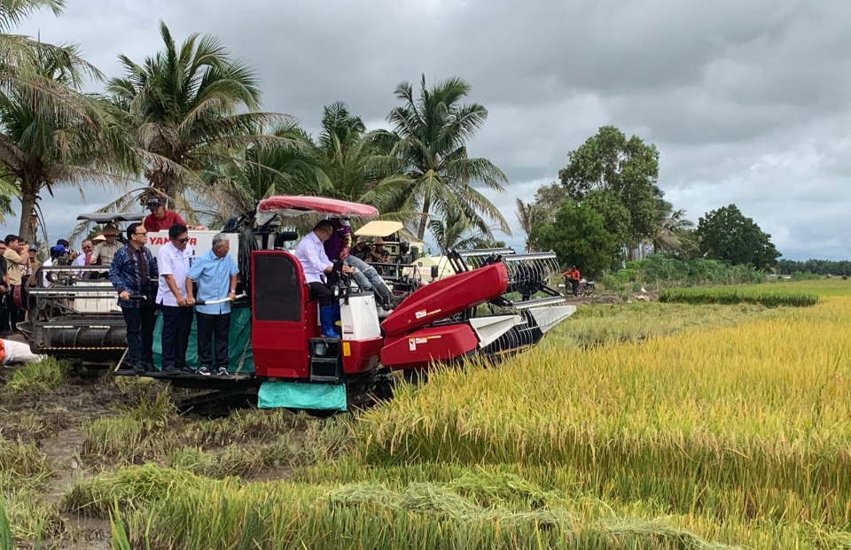 Bulog Serap Gabah Petani Seharga Rp6.500/kg, Pabrik Dikenakan Sanksi Tak Patuhi Harga