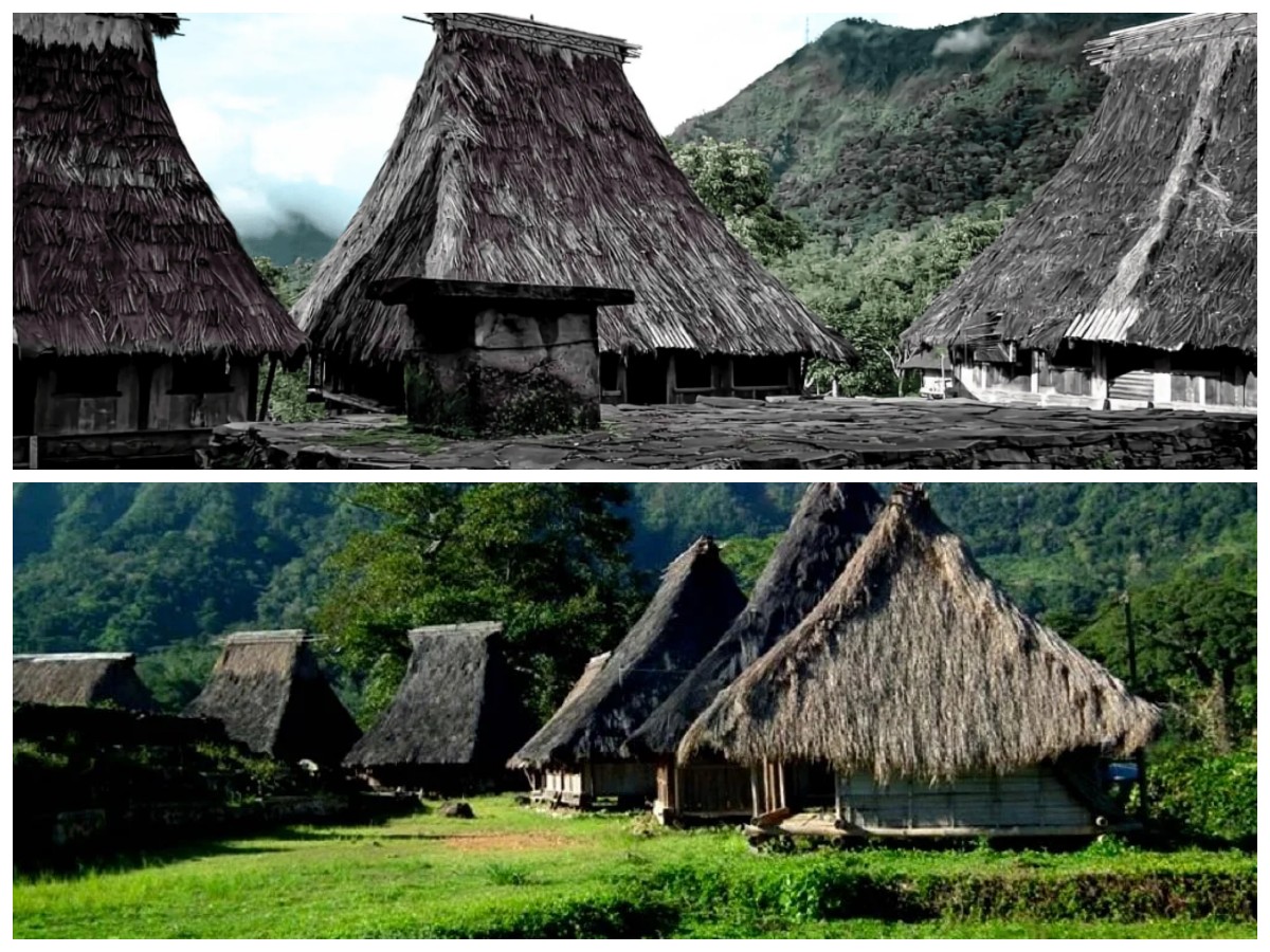 Desa Wologai: Warisan Budaya Suku Lio yang Tetap Lestari di Tengah Modernisasi