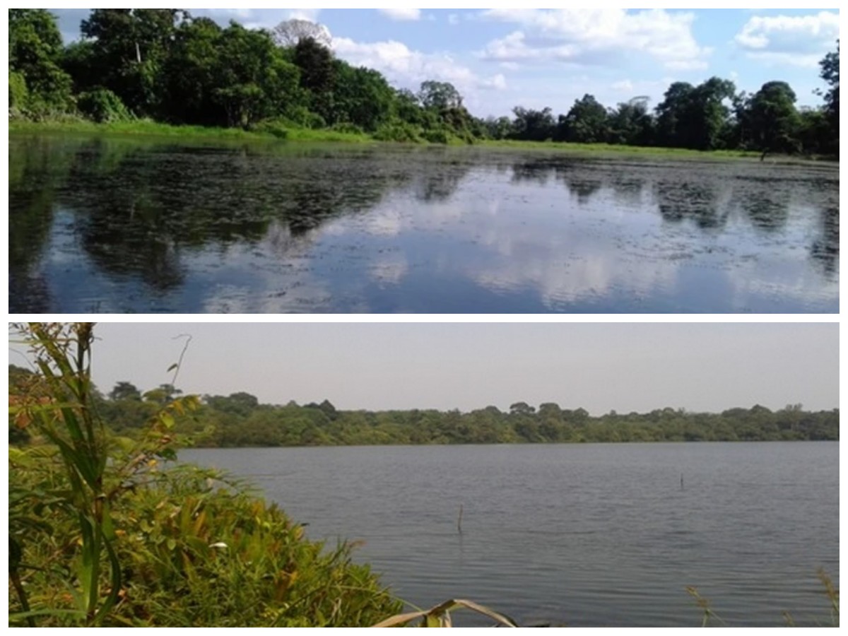 Menelusuri Pesona Danau Rayo: Sejarah, Budaya, dan Keajaiban Alam Jambi