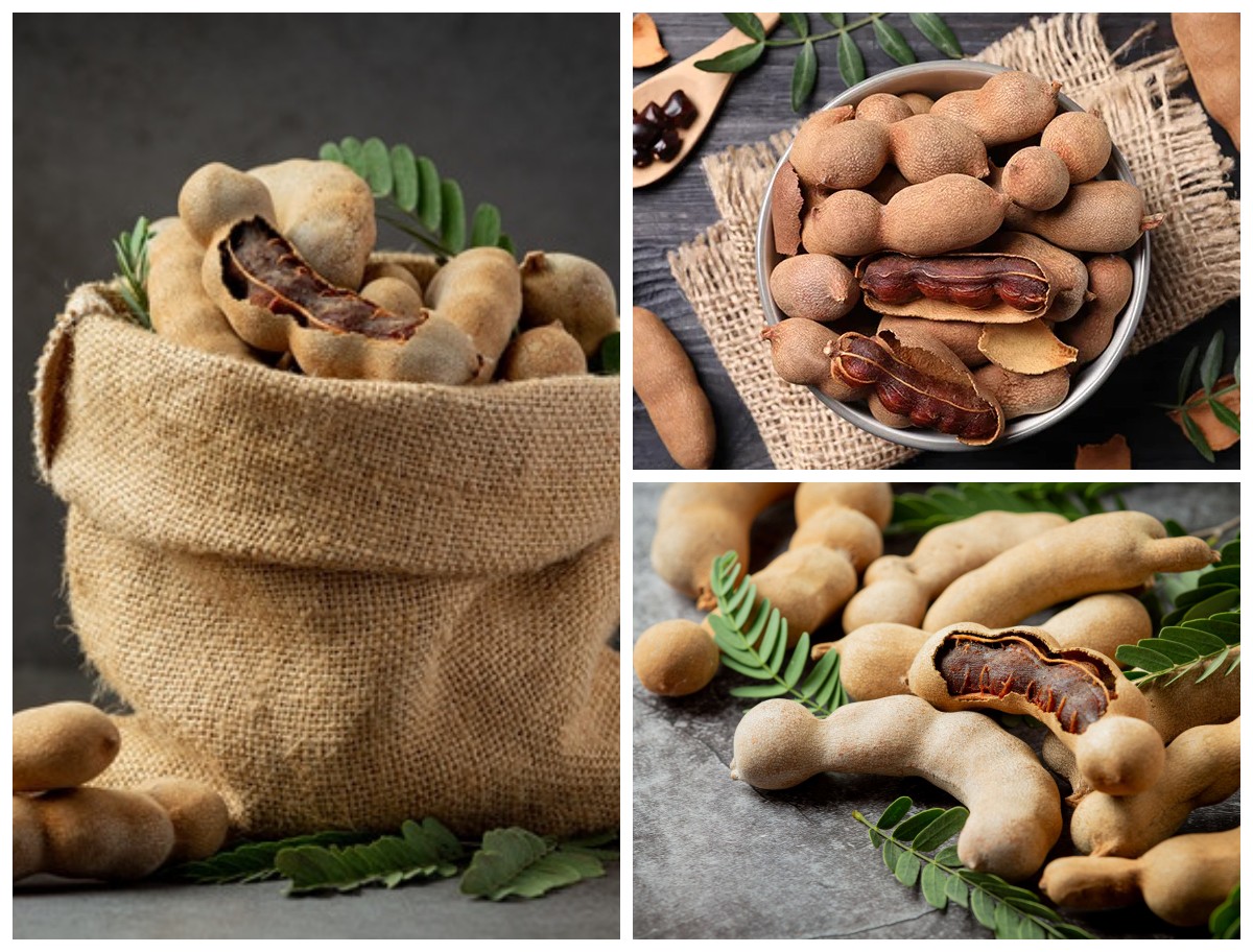 Manfaat Asam Jawa bagi Kesehatan Tubuh: Rahasia Alami untuk Menjaga Daya Tahan dan Kecantikan dari Dalam