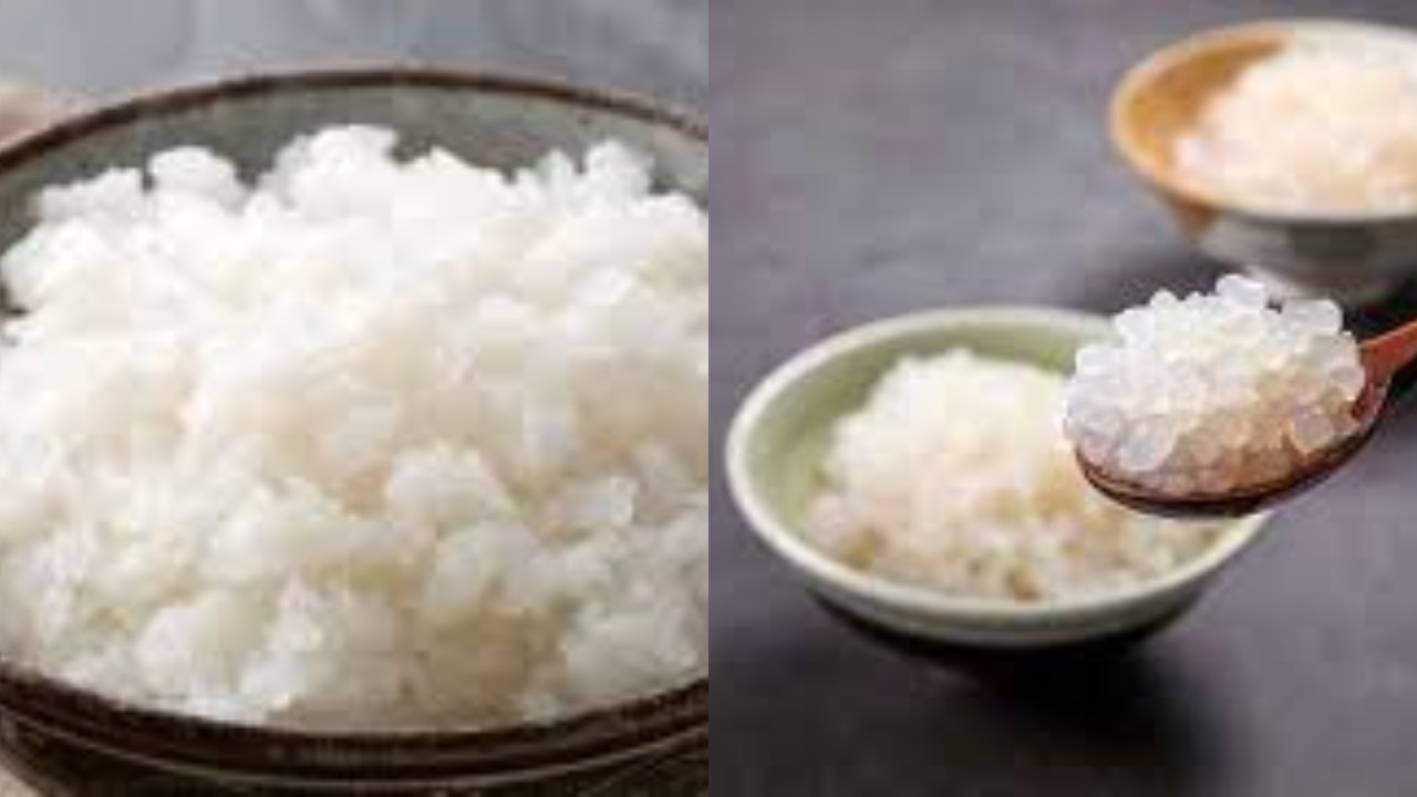 Ganti Nasi dengan Shirataki? Ini Manfaat Sehat Yang Harus Kamu Tahu