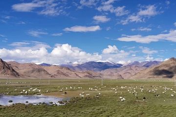 Menelisik Kehidupan Orang Tibet Kuno, Menghuni Atap Dunia