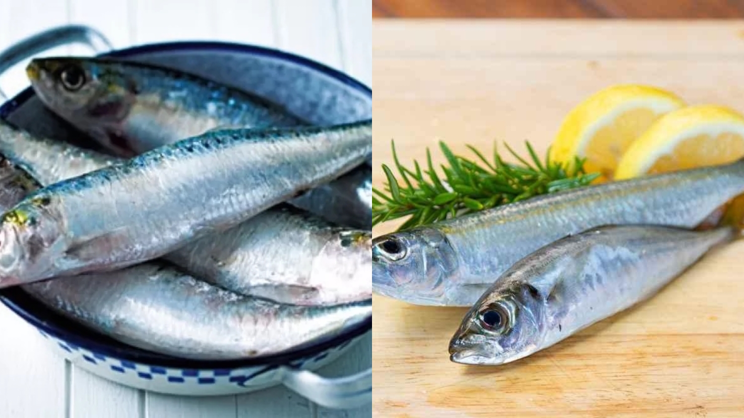 Mengandung Vitamin B12 Inilah Manfaat Ikan Sarden Yang Harus Kalian Tahu!