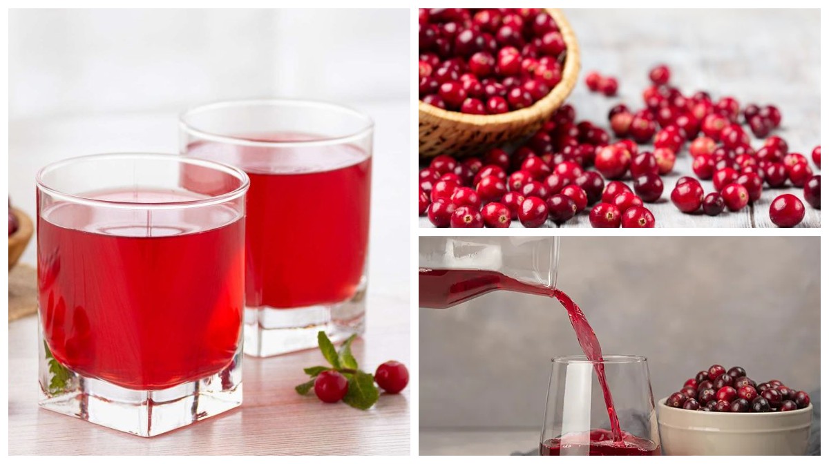 Menilik Manfaat Cranberry bagi Kesehatan,  Yuk Simak di Artikel ini!