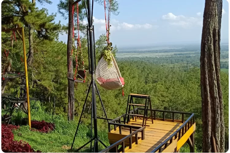 Oiiii, Liburan Hemat Tanpa Kompromi, Keindahan Terjangkau di Kemit Forest, Cilacap, Jawa Tengah