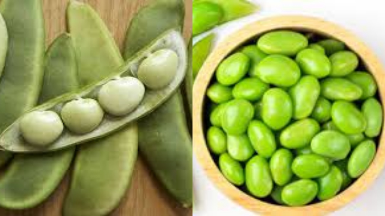  Inilah Manfaat Kacang Lima Untuk Kesehatan Yang Jarang Diketahui!