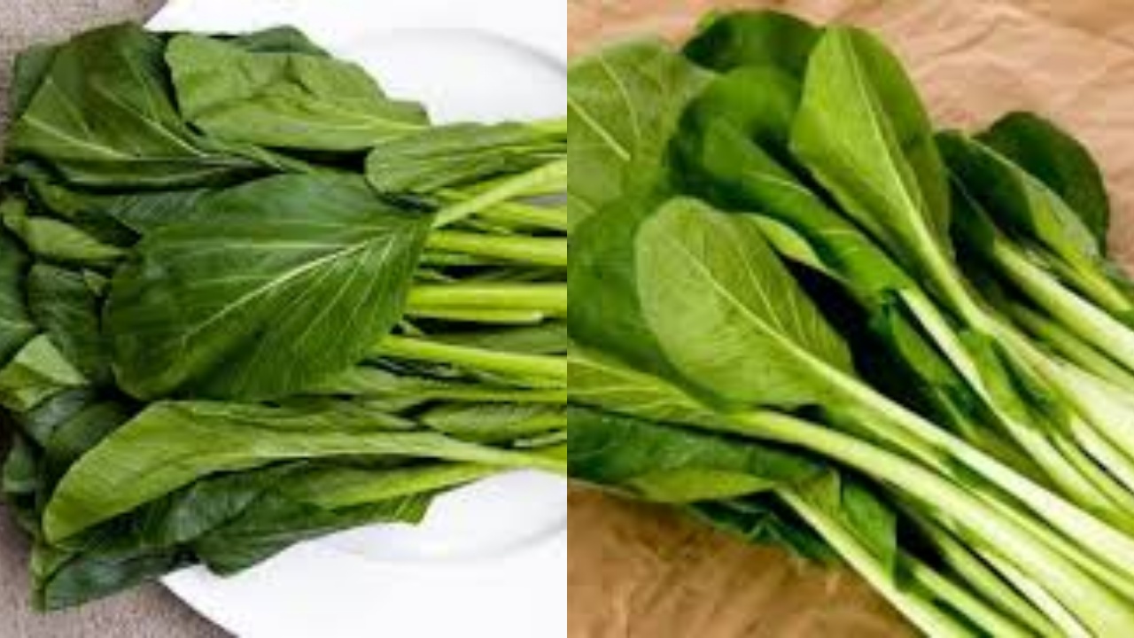 Yuk Intip! Berbagai Manfaat Sawi Hijau Untuk Kesehatan Tubuh Ini Penjelasanya