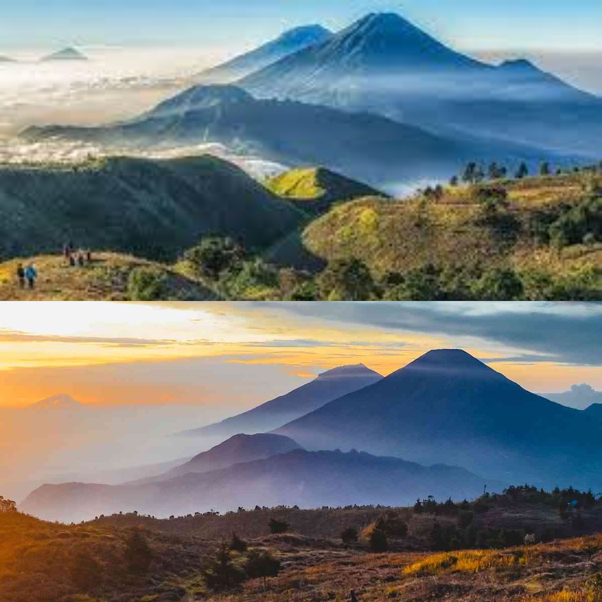 Meski Banyak Mitos yang Mistis, Namun Keindahan Puncak Gunung Prau Tetap Tak Terkalahkan 