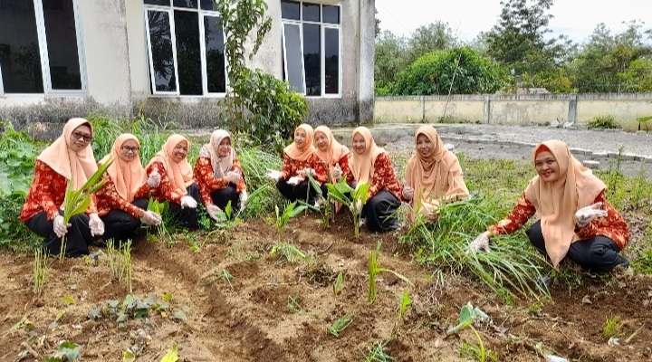 Wujudkan Sumsel Mandiri Pangan, Dharma Wanita Persatuan Kecamatan Dempo Utara Tanami Pekarangan Kantor Camat