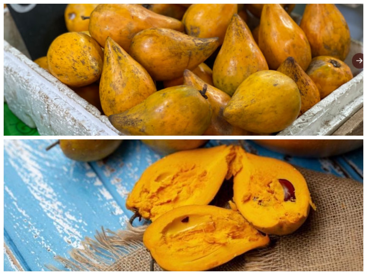 Jarang Diketahui, Buah Campolay Ternyata Punya Segudang Khasiat untuk Kesehatan!