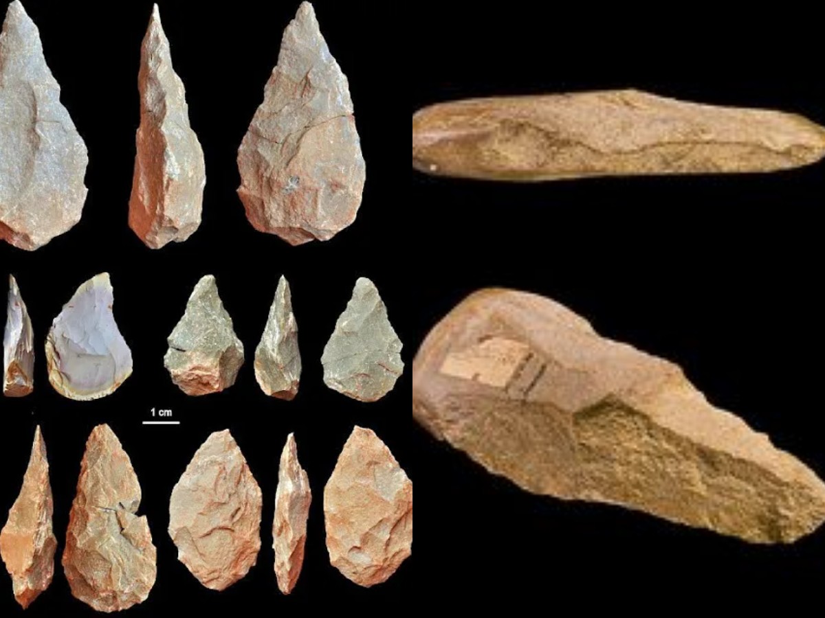 Menelusuri Kisah Sejarah Penemuan Alat Serpih: Jejak Peradaban Manusia Purba!