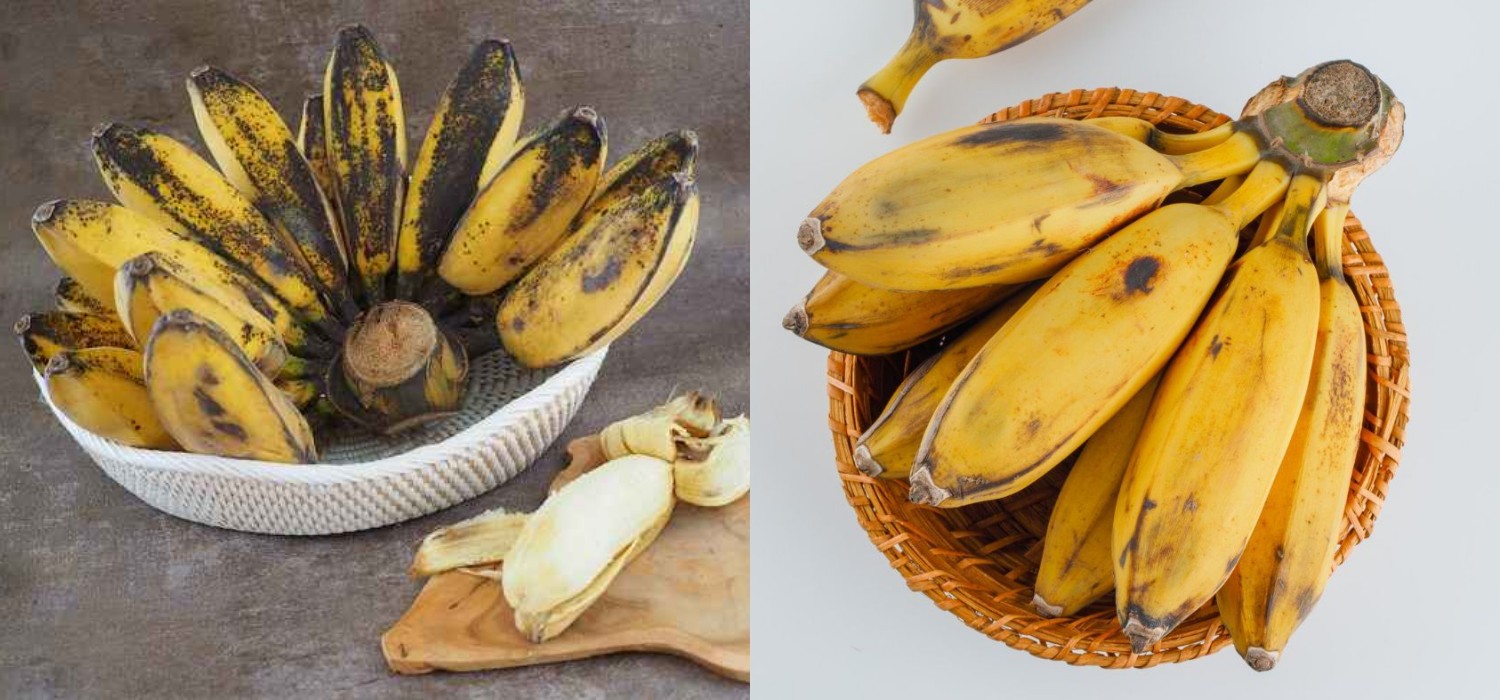 10 Keistimewaan Pisang Kepok yang Patut Diketahui!